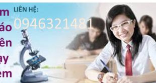 Tìm giáo viên dạy kèm ngữ văn lớp 9 ôn thi lớp 10 Q 7Tp.HCM